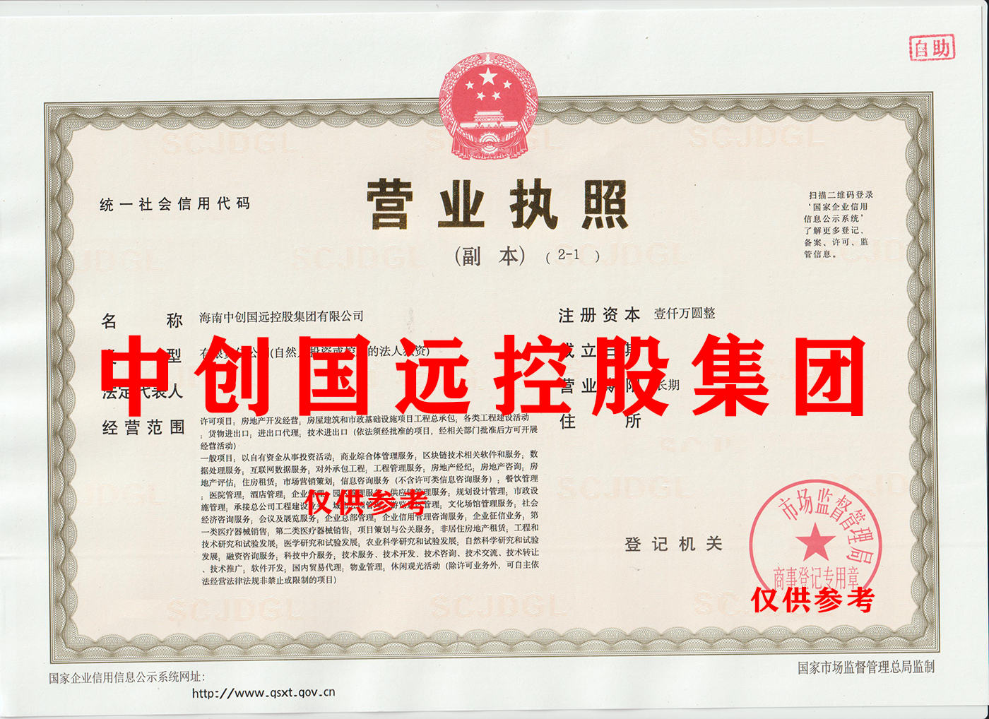中创国远控股集团.png