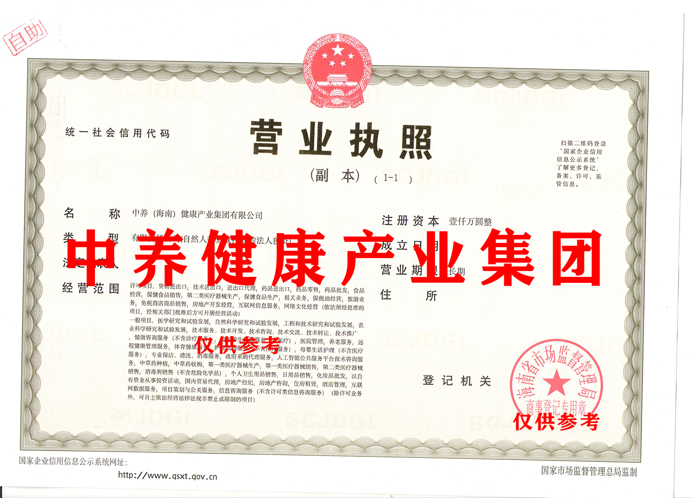 中养健康产业集团.png