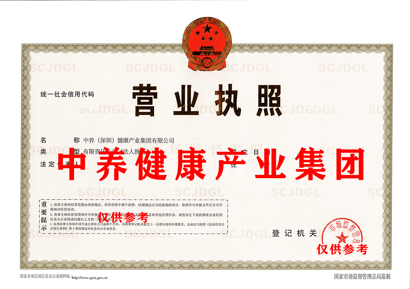 中养健康产业集团.png