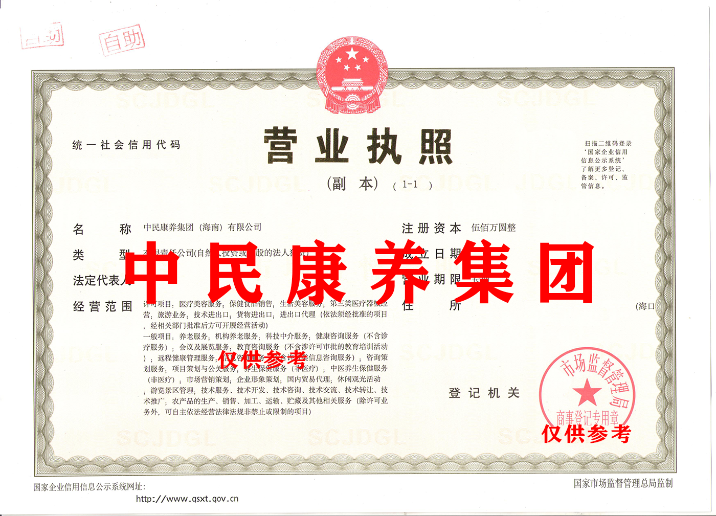 中民康养集团（海南）有限公司.png