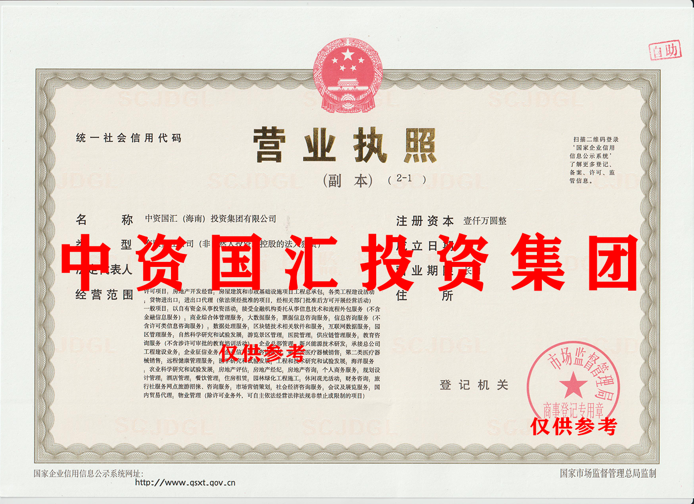 中资国汇投资集团.png