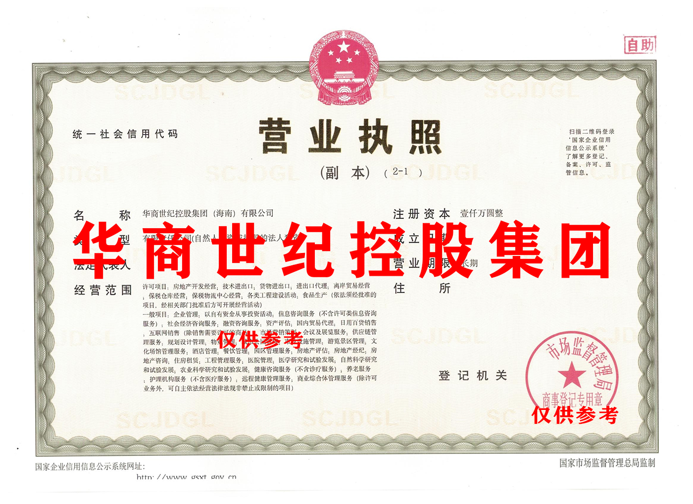 华商世纪控股集团（海南）有限公司.png