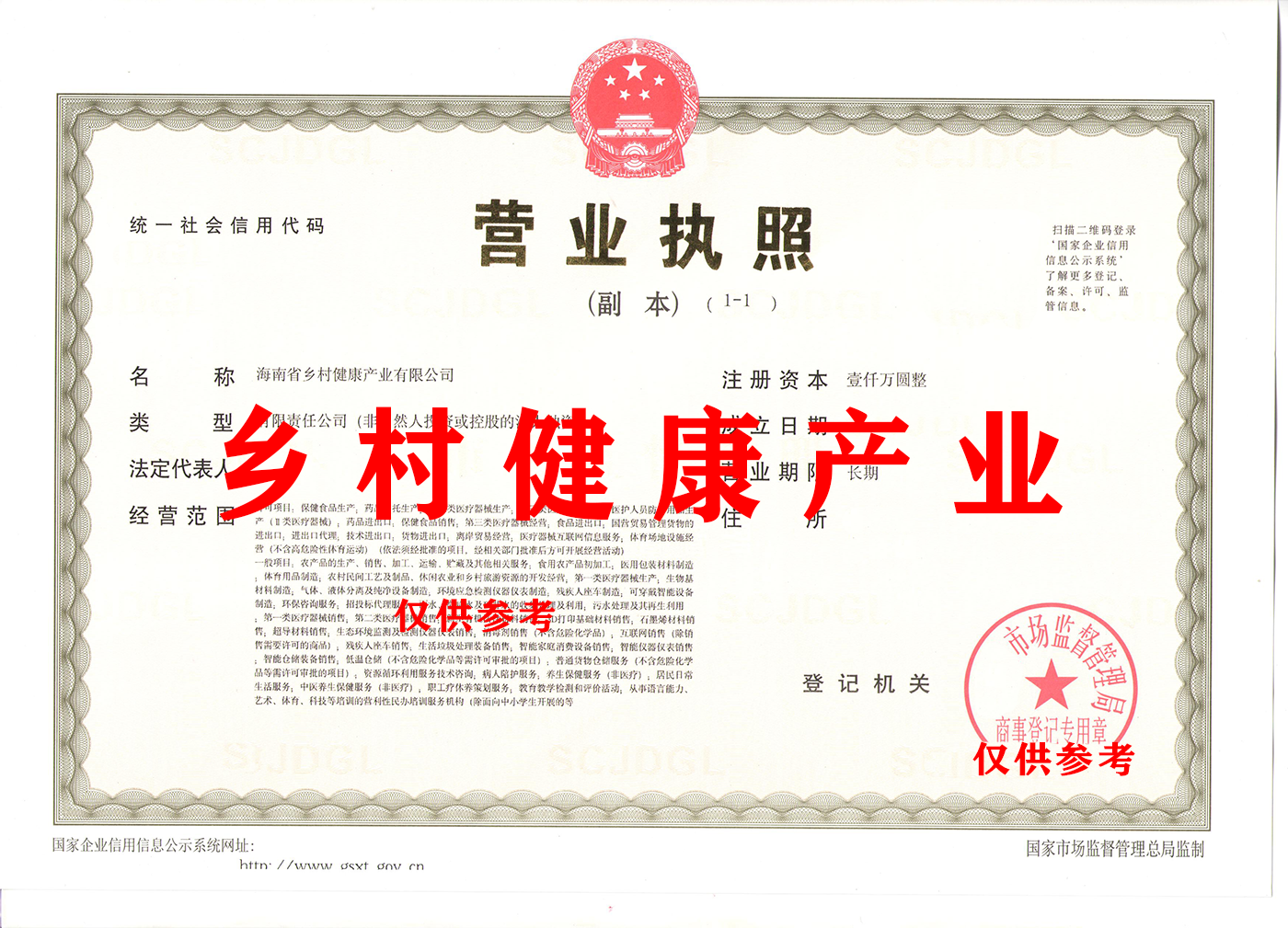 乡村健康产业.png