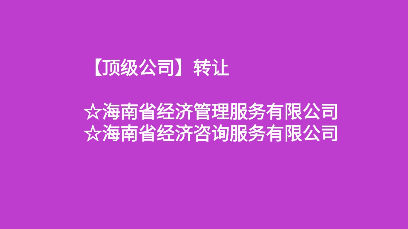 海南经济管理公司.png