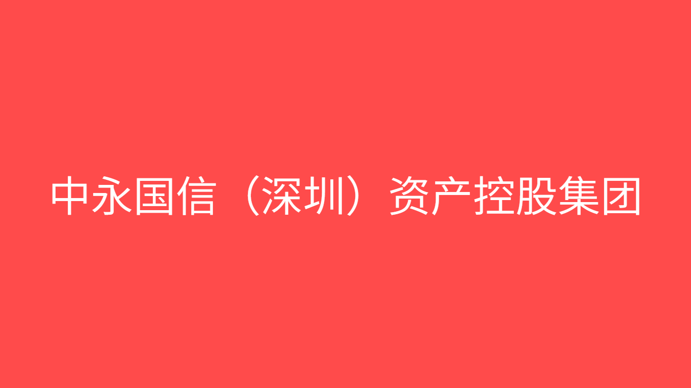 中永国信（深圳）资产控股集团.png